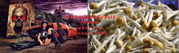 скорость Абаза